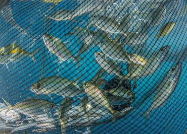 深海の魚の純作成機械、円形ヤーンの陰の網機械