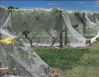 容易な植物保護網の製造業機械は反鳥の網のために作動します