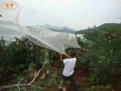 ホワイト カラー メディカル 網 織り ワープ 編み 機械