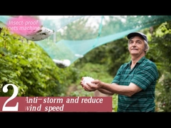 反昆虫の純緑の純製造機械によってコンピュータ化される制御