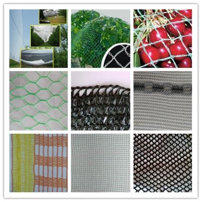 コネクティング ロッド ワープ 編み 機 は 何 です か