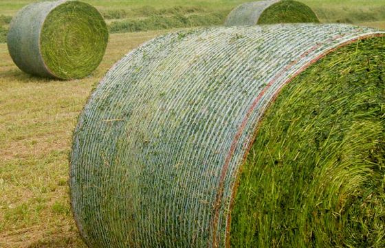 HDPE農業用ベールネット編み機 7500W 経編スタイル