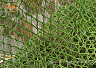 Raschelのゆがみの編む機械を作る保護純漁網